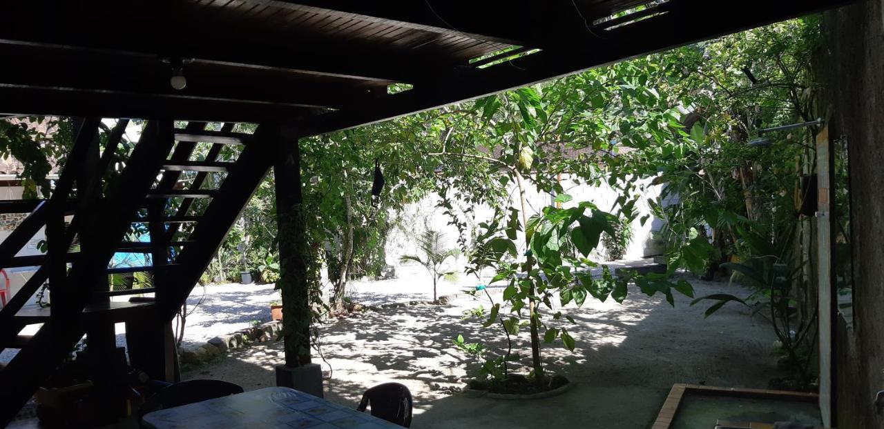 Aldeia Itamambuca Chale Camping أوباتوبا المظهر الخارجي الصورة